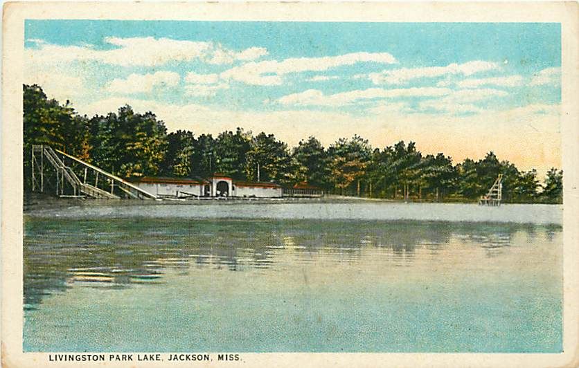 MS Jackson Livingston Park Lake Town View Early T74951