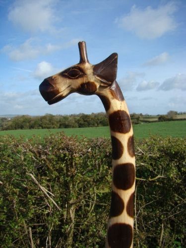 Natural Wooden Tall Giraffe Statue 200cm