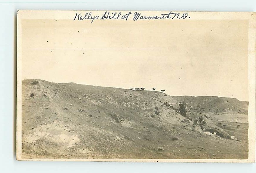 6867 RPPC Marmarth, North Dakota ND Kellys Hill Wild Horses Buildings