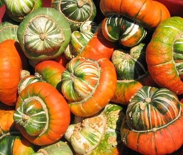 Turks Turban Mexican Hat Winter Squash 10 Seeds Heirl