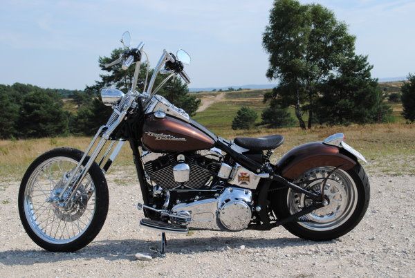 Softail Bobber FLSTFI Springer Kess Tech RSD * Fat Boy