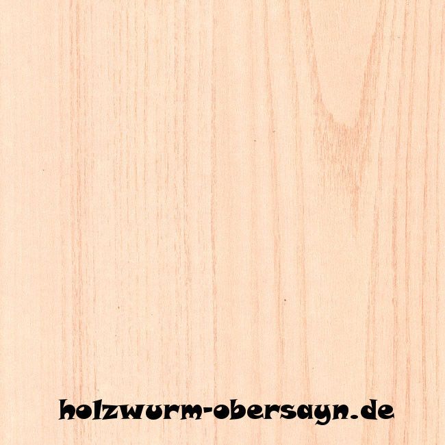 91 m² Holz Paneele Swing Line Esche Restposten Decken Verkleidung