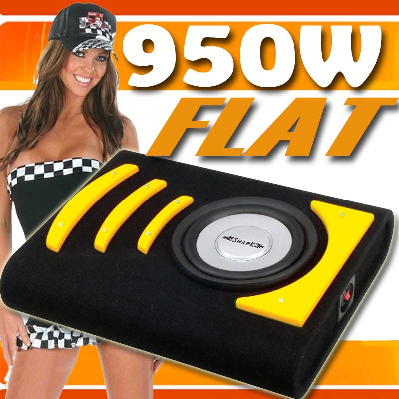 950 WATT FLACHE Bassbox BOOMBOX BASSKISTE Subwoofer 8