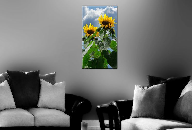 Sonnenblume Bild auf LeinwandBlume Bilder 100x55 XXL