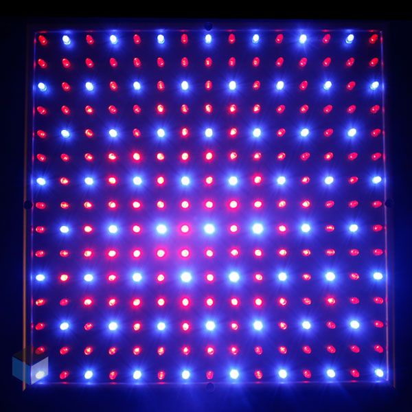 Profi LED Pflanzen Grow Lampe 225 LEDs Rot Blau 12Volt