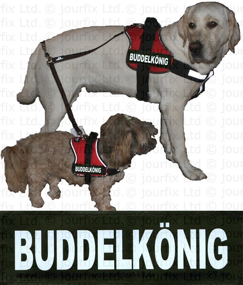 BUDDELKÖNIG 1 x Logo groß weiß für Julius K9® Power IDC TPP