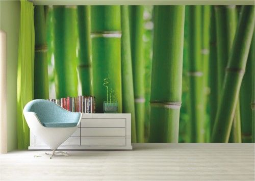 Wandbild 360 x 254 cm Poster 4 teilig + Kleister   Fototapete Bambus