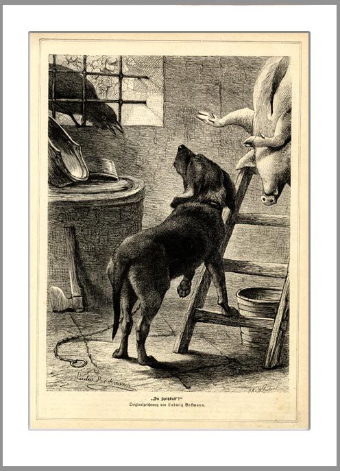 KRÄHE HUND SAU METZGEREI SCHLACHTEN 1883 HOLZSTICH GL290