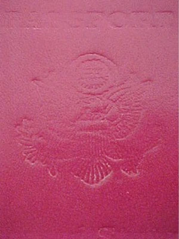 Hot Pink Leather USA Embossed Passport Holder Cover Color PINK