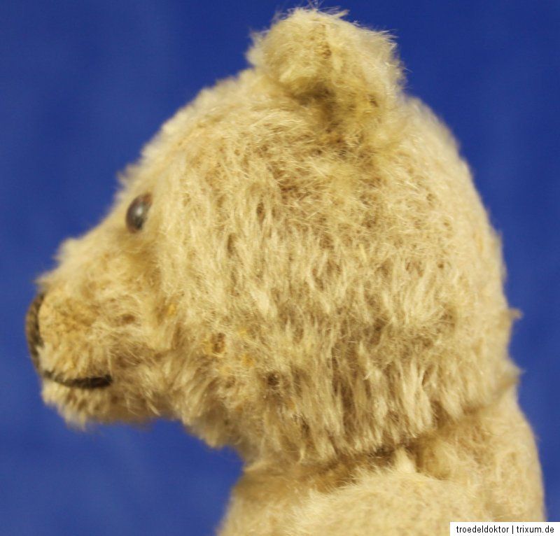 Steiff Teddy Teddybär defekte Druckstimme Art Nr. 5322,01 ? 5322,02