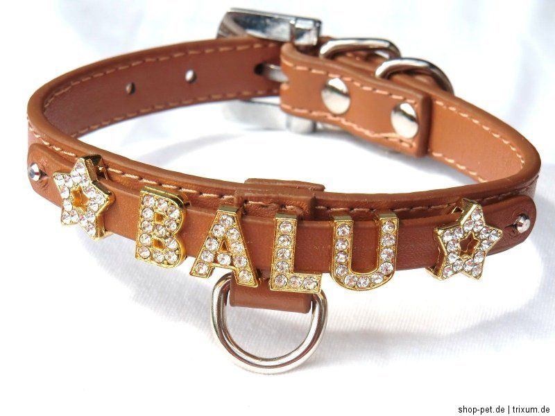 Halsband S mit Name NEU D Ring in der Mitte Hundehalsband mit Strass