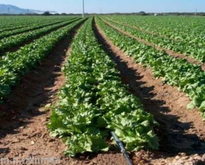 100 m AQUA TRAXX Folien Tropfschlauch Landwirtschaft