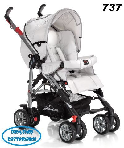 Hartan IX 1 Buggy 2011 er Farbe 737 NEU