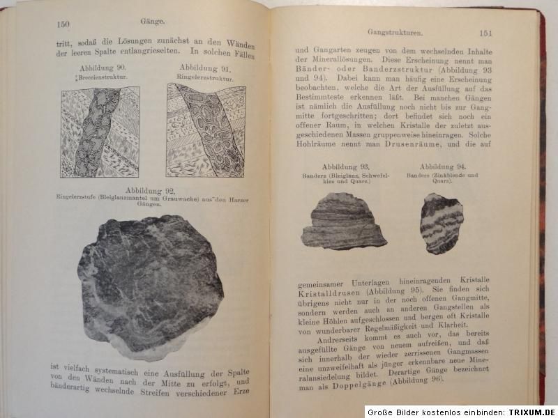 Fritz Jüngst Die nutzbaren Lagerstätten Jänecke 1908