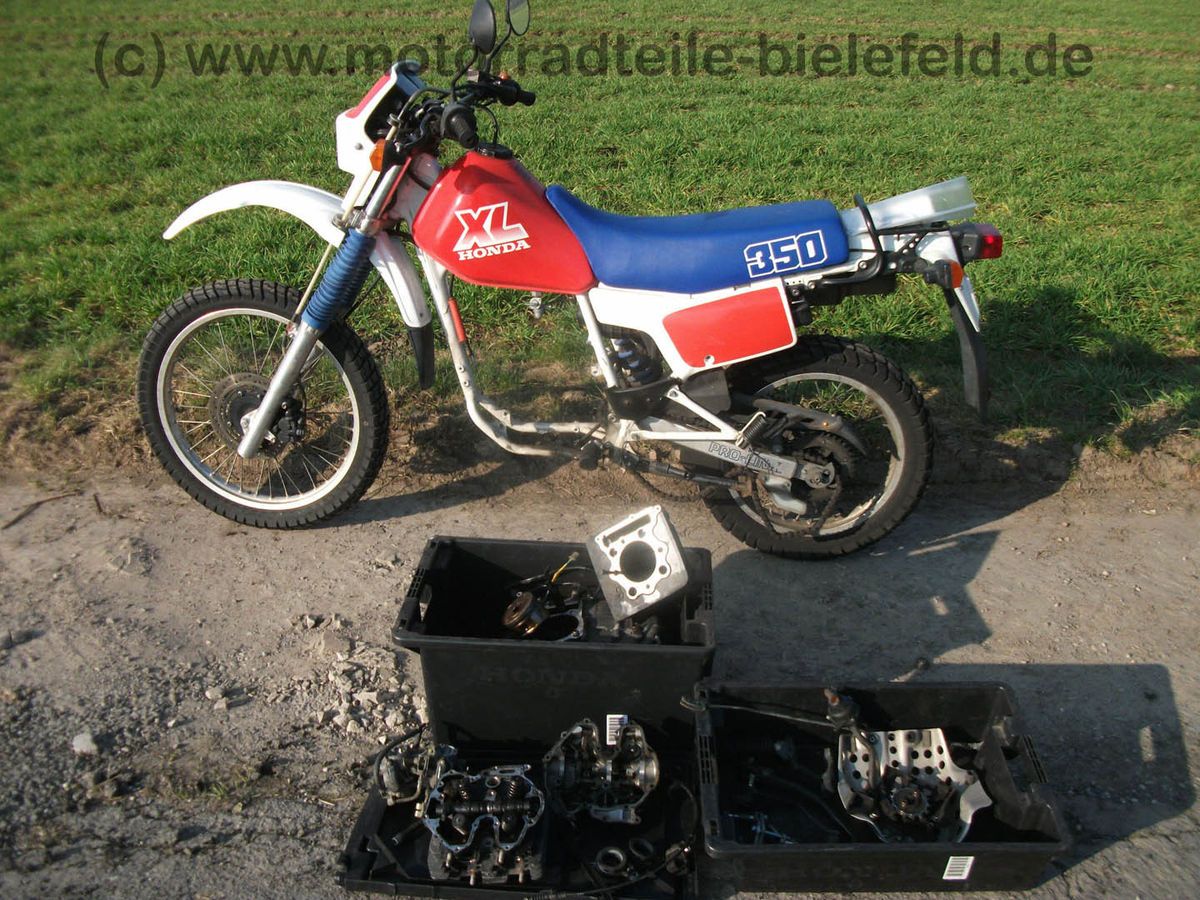 Honda XR XL 250 350 R ND03 MD11 ME06 Zylinder und Kolben / cylinder