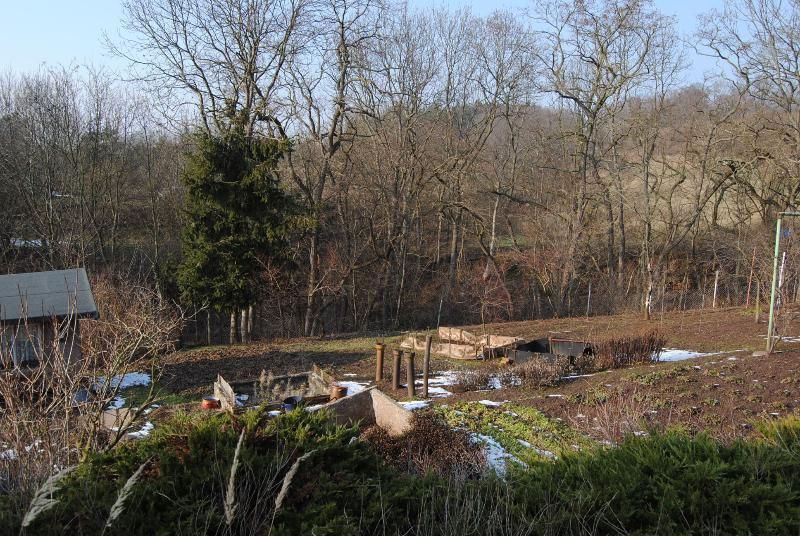 Haus Einfamilienhaus kaufen in Löbejün Dobis