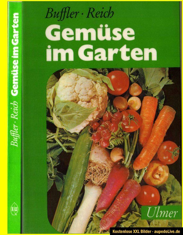 Gemüse im Garten frisches gesundes Gemüse Möhren Tomaten Gurken